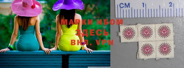 ГАЛЛЮЦИНОГЕННЫЕ ГРИБЫ Инсар