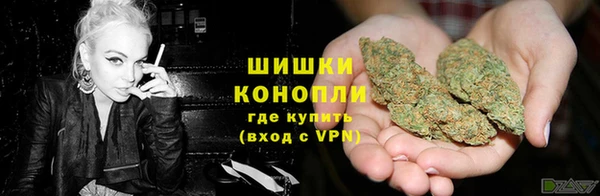 ГАЛЛЮЦИНОГЕННЫЕ ГРИБЫ Инсар