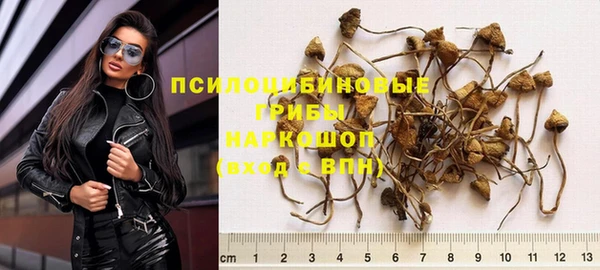 дмт Зерноград